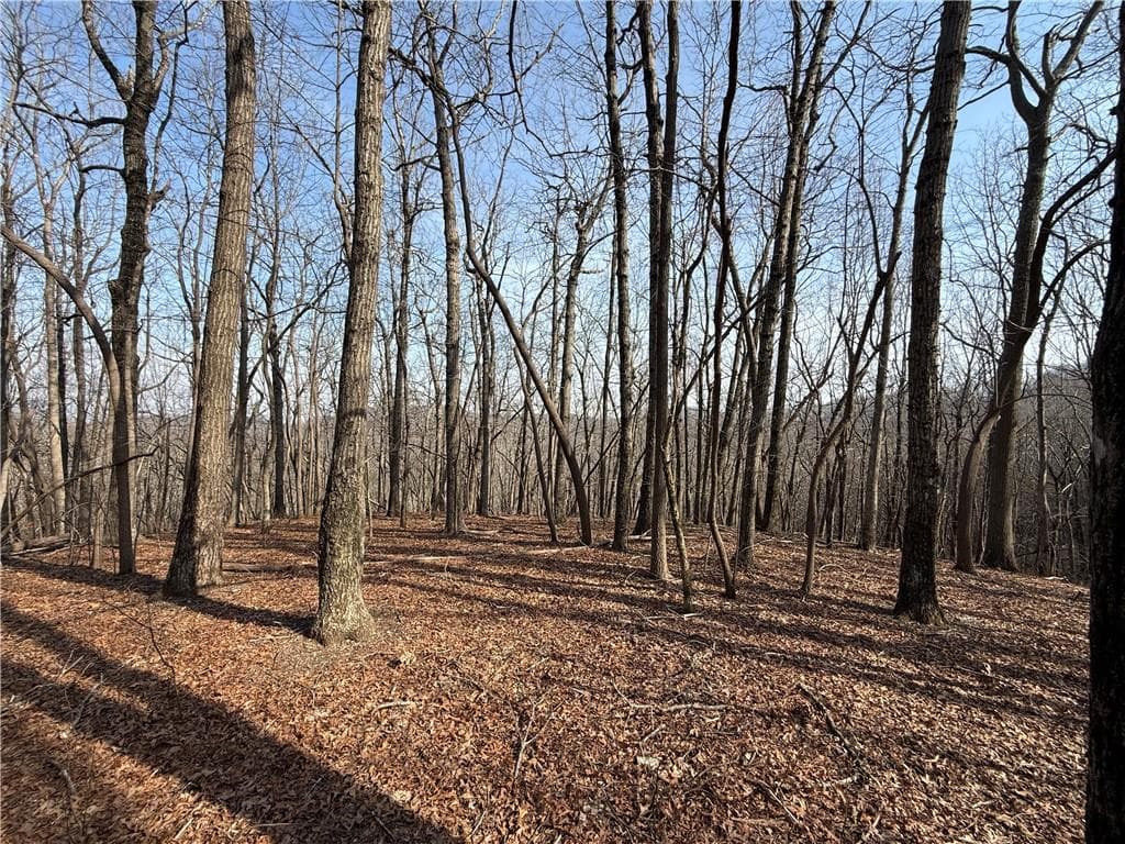 single family residence for sale at 0 Burnt Mtn Cove Road, Jasper, GA 30143 — photo 2