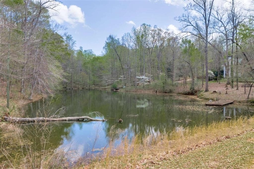 5 bedroom, 5 bathroom, 4,296 sq ft single family residence for sale at 743 Blacks Creek Church Road, Danielsville, GA 30633 — photo 8