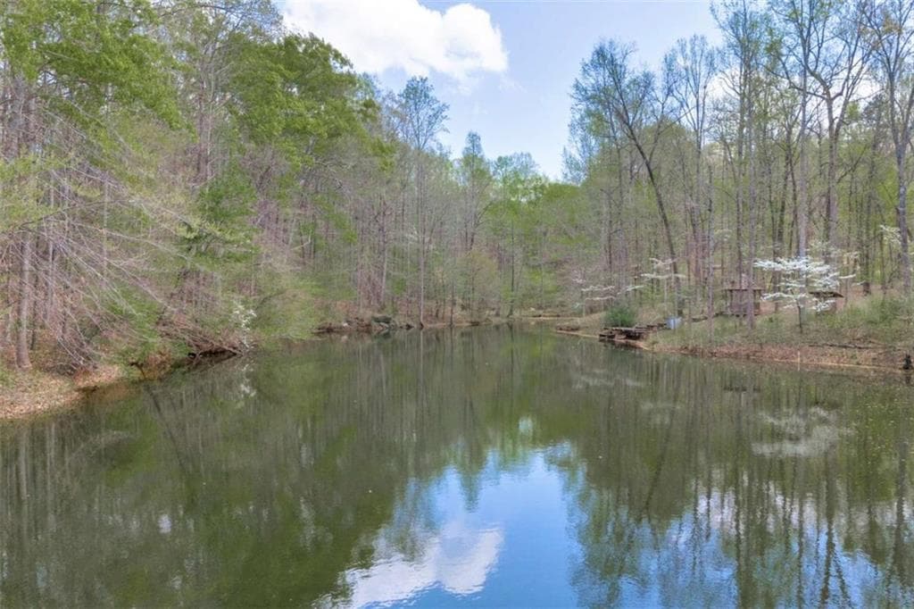 5 bedroom, 5 bathroom, 4,296 sq ft single family residence for sale at 743 Blacks Creek Church Road, Danielsville, GA 30633 — photo 9
