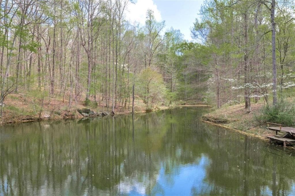 5 bedroom, 5 bathroom, 4,296 sq ft single family residence for sale at 743 Blacks Creek Church Road, Danielsville, GA 30633 — photo 10
