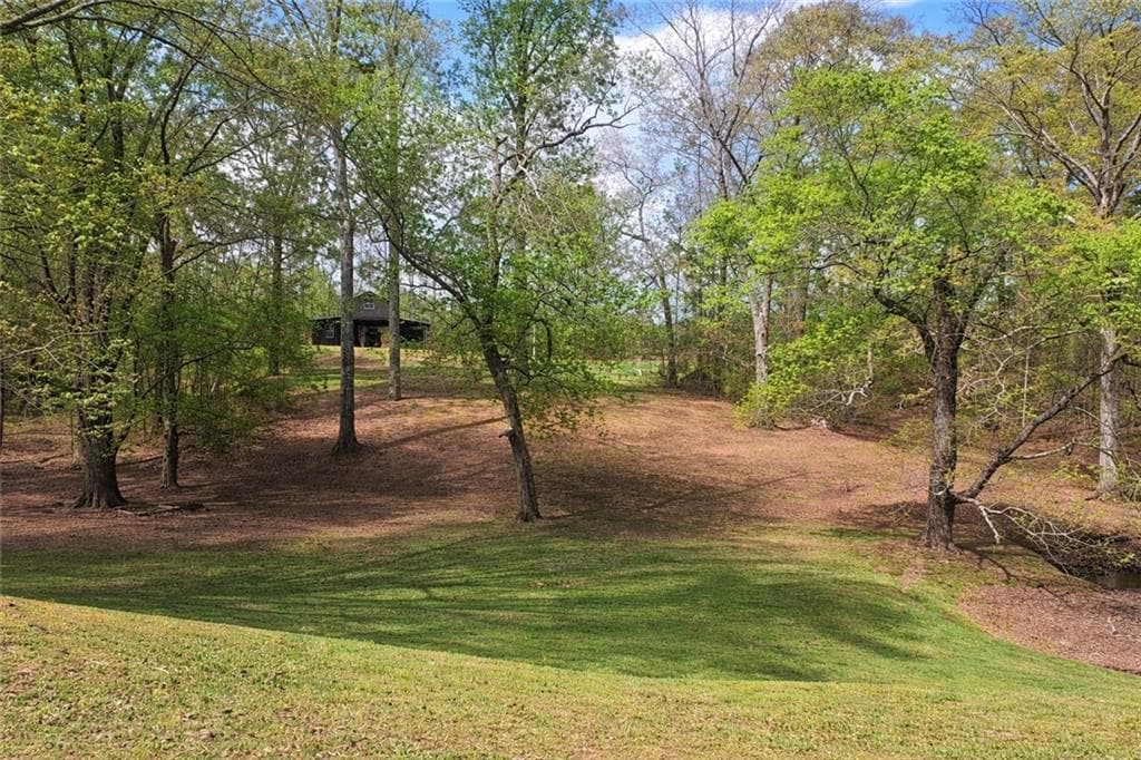 3 bedroom, 3 bathroom, 2,374 sq ft single family residence for sale at 112 Brannon Road, Buchanan, GA 30113 — photo 4