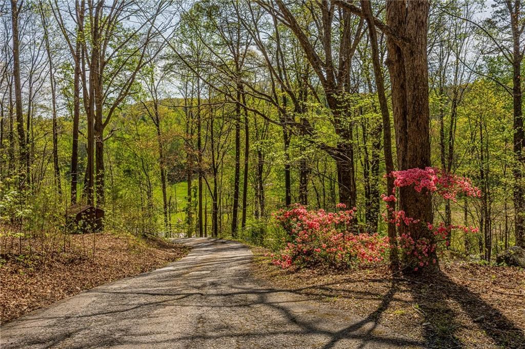 3 bedroom, 1 bathroom, 1,188 sq ft single family residence under contract at 2992 Camp Wahsega Road, Dahlonega, GA 30533 — photo 8