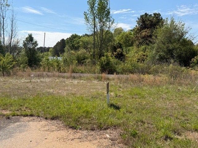 unimproved land for sale at 7704 State Rte 140, Adairsville, GA 30103 — photo 5