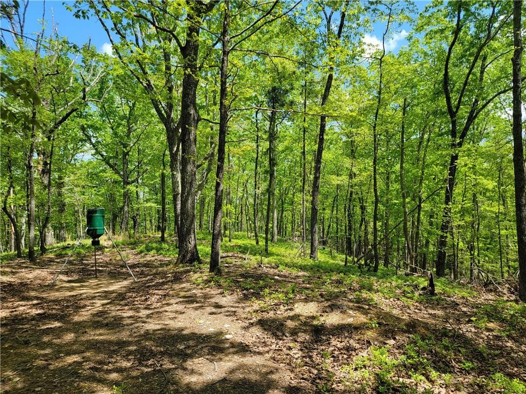 unimproved land for sale at 0 Hightower Falls Road, Rockmart, GA 30153 — photo 9