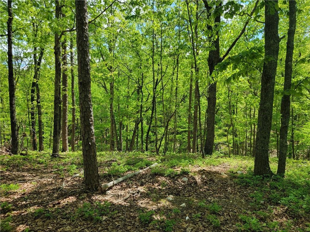 unimproved land for sale at 0 Hightower Falls Road, Rockmart, GA 30153 — photo 10