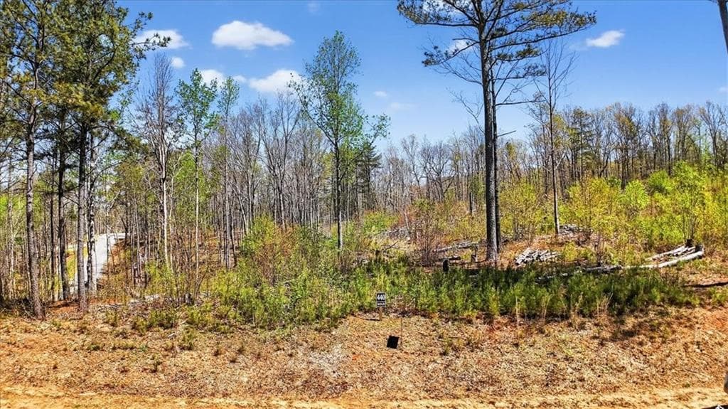 unimproved land for sale at 0 Twisted Oak Road, Talking Rock, GA 30175 — photo 4
