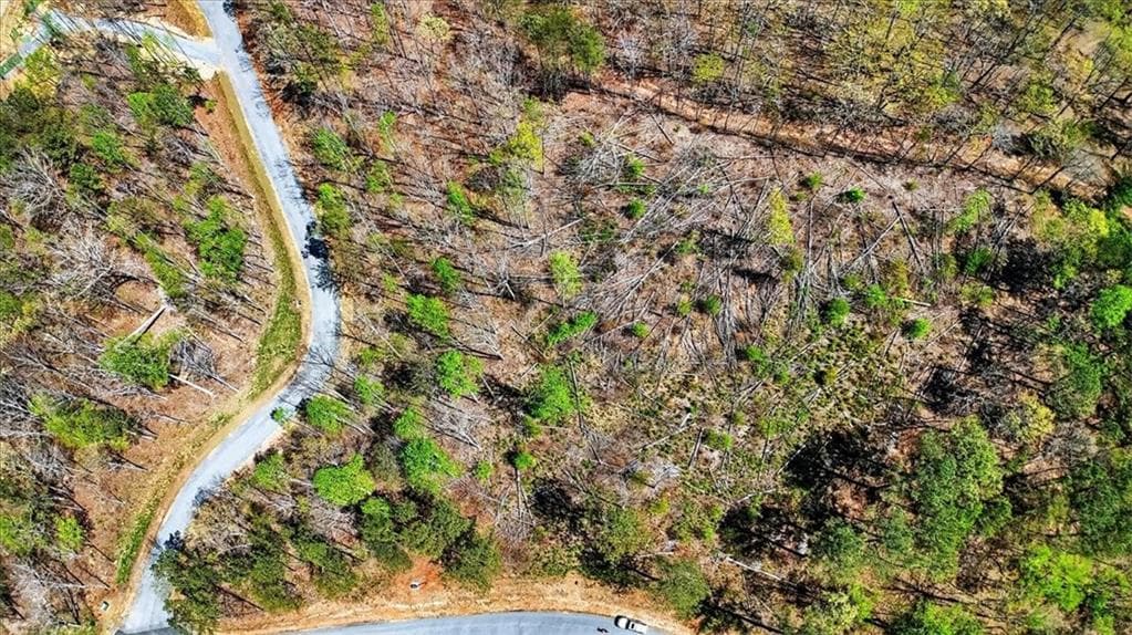 unimproved land for sale at 0 Twisted Oak Road, Talking Rock, GA 30175 — photo 5
