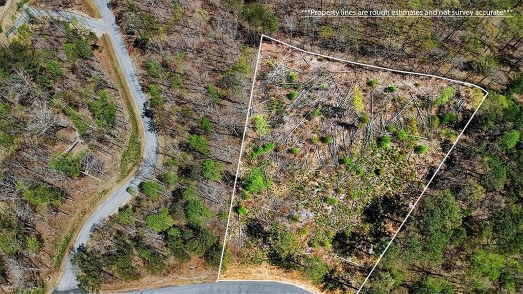 unimproved land for sale at 0 Twisted Oak Road, Talking Rock, GA 30175 — photo 6