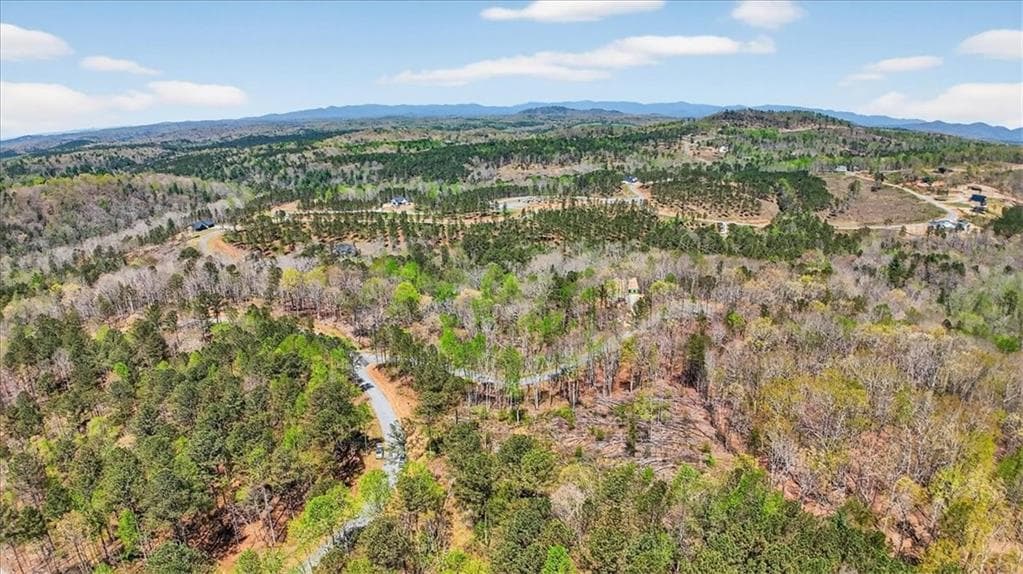 unimproved land for sale at 0 Twisted Oak Road, Talking Rock, GA 30175 — photo 7