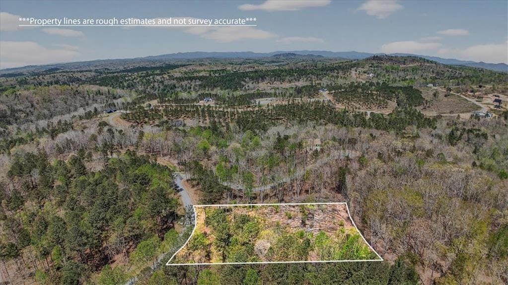 unimproved land for sale at 0 Twisted Oak Road, Talking Rock, GA 30175 — photo 8