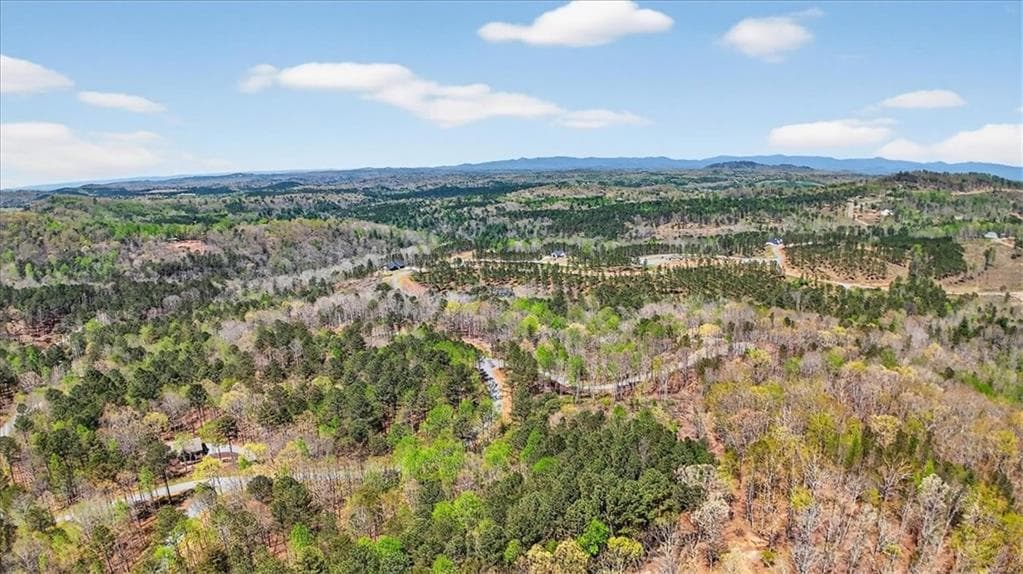 unimproved land for sale at 0 Twisted Oak Road, Talking Rock, GA 30175 — photo 9