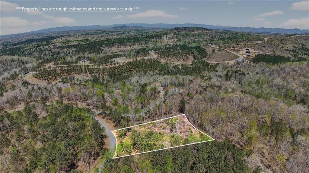 unimproved land for sale at 0 Twisted Oak Road, Talking Rock, GA 30175 — photo 10