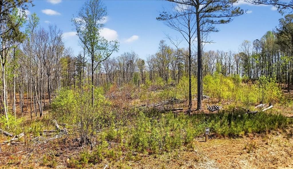 unimproved land for sale at 0 Twisted Oak Road, Talking Rock, GA 30175 — photo 3