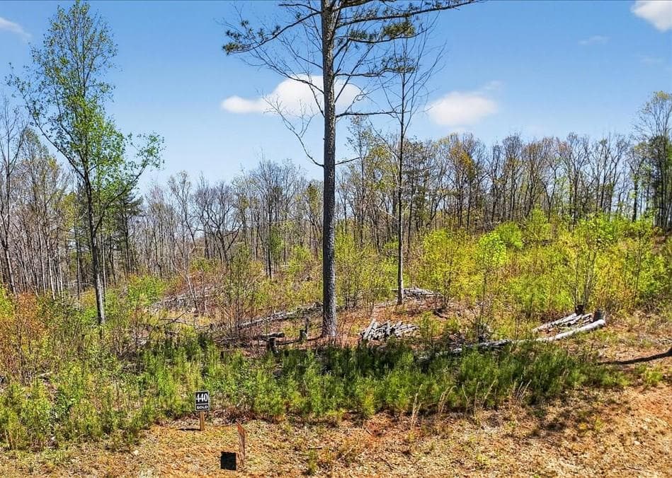 unimproved land for sale at 0 Twisted Oak Road, Talking Rock, GA 30175 — photo 2
