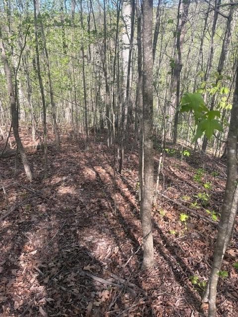 single family residence for sale at 0 Heatherwood Way, Talking Rock, GA 30175 — photo 2