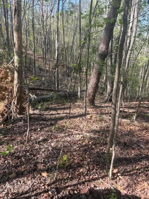 single family residence for sale at 0 Heatherwood Way, Talking Rock, GA 30175 — photo 3