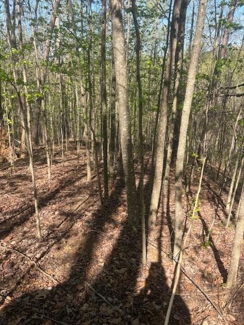 single family residence for sale at 0 Heatherwood Way, Talking Rock, GA 30175 — photo 4