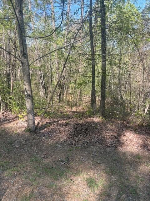 single family residence for sale at 0 Heatherwood Way, Talking Rock, GA 30175 — photo 7