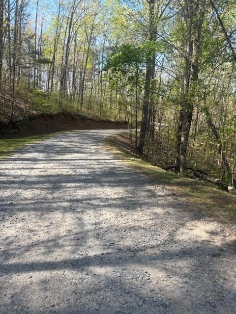 single family residence for sale at 0 Heatherwood Way, Talking Rock, GA 30175 — photo 8