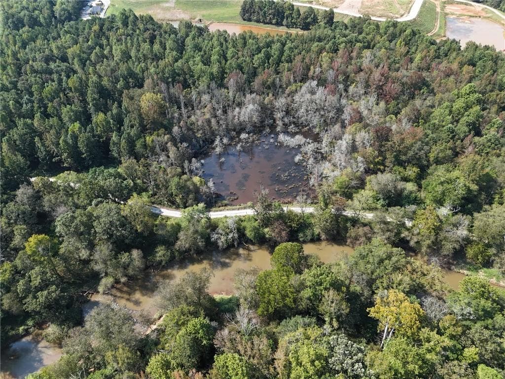 unimproved land for sale at 51 Highway 78, Monroe, GA 30655 — photo 4