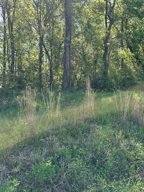 single family residence for sale at 815 AJ IRVIN Road, Talmo, GA 30575 — photo 5