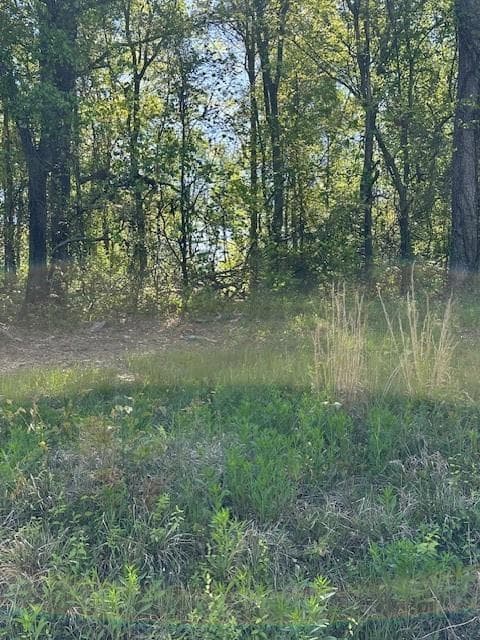 single family residence for sale at 815 AJ IRVIN Road, Talmo, GA 30575 — photo 6
