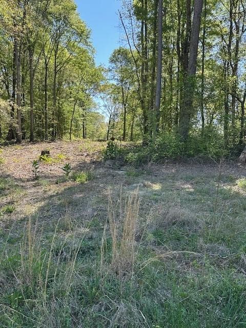 single family residence for sale at 815 AJ IRVIN Road, Talmo, GA 30575 — photo 7