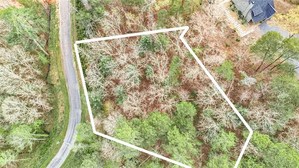 unimproved land for sale at 102 Overlook Way, Ellijay, GA 30540 — photo 4