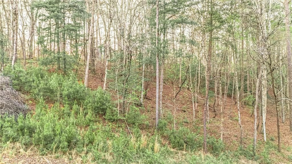 unimproved land for sale at 102 Overlook Way, Ellijay, GA 30540 — photo 5
