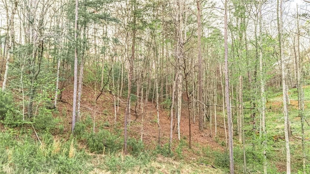 unimproved land for sale at 102 Overlook Way, Ellijay, GA 30540 — photo 6