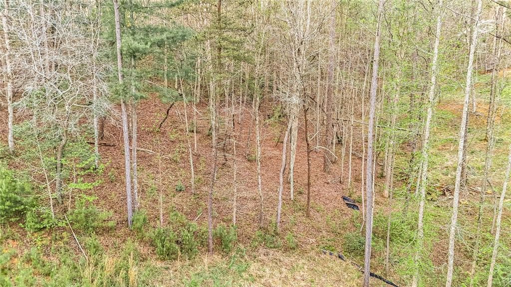 unimproved land for sale at 102 Overlook Way, Ellijay, GA 30540 — photo 7