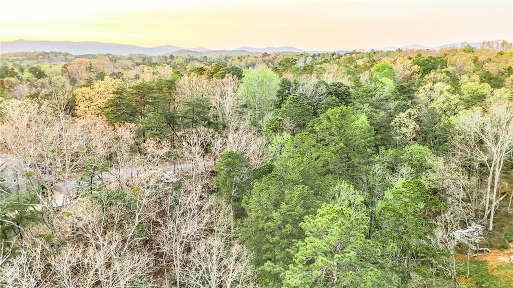 unimproved land for sale at 102 Overlook Way, Ellijay, GA 30540 — photo 8