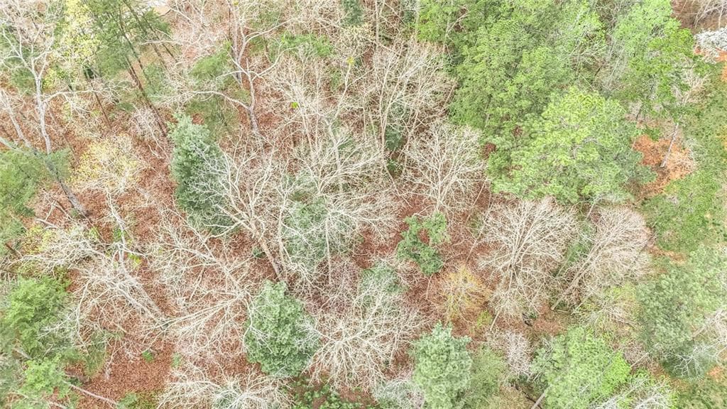 unimproved land for sale at 102 Overlook Way, Ellijay, GA 30540 — photo 9