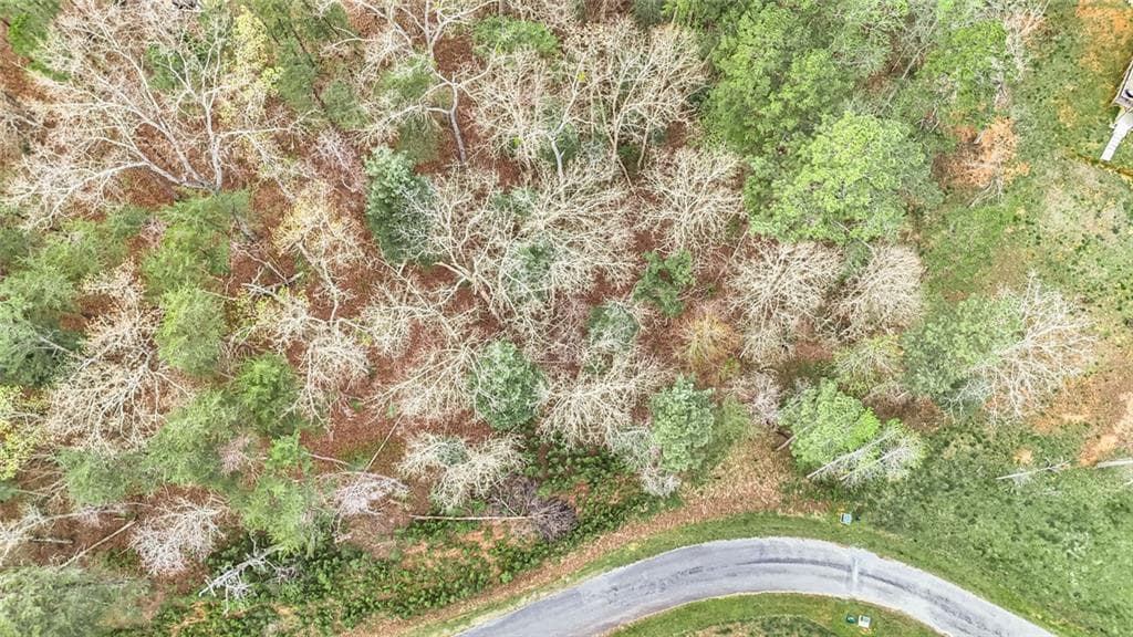 unimproved land for sale at 102 Overlook Way, Ellijay, GA 30540 — photo 10