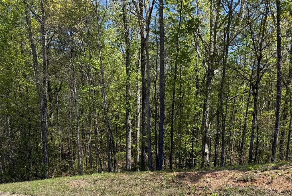 unimproved land for sale at 0 US HWY 27, Bremen, GA 30113