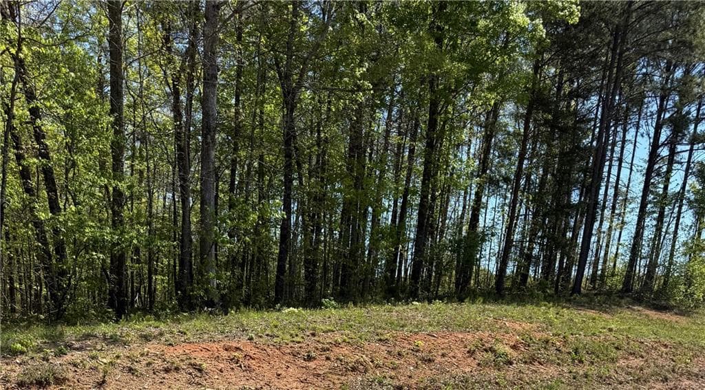 unimproved land for sale at 0 US HWY 27, Bremen, GA 30113 — photo 2
