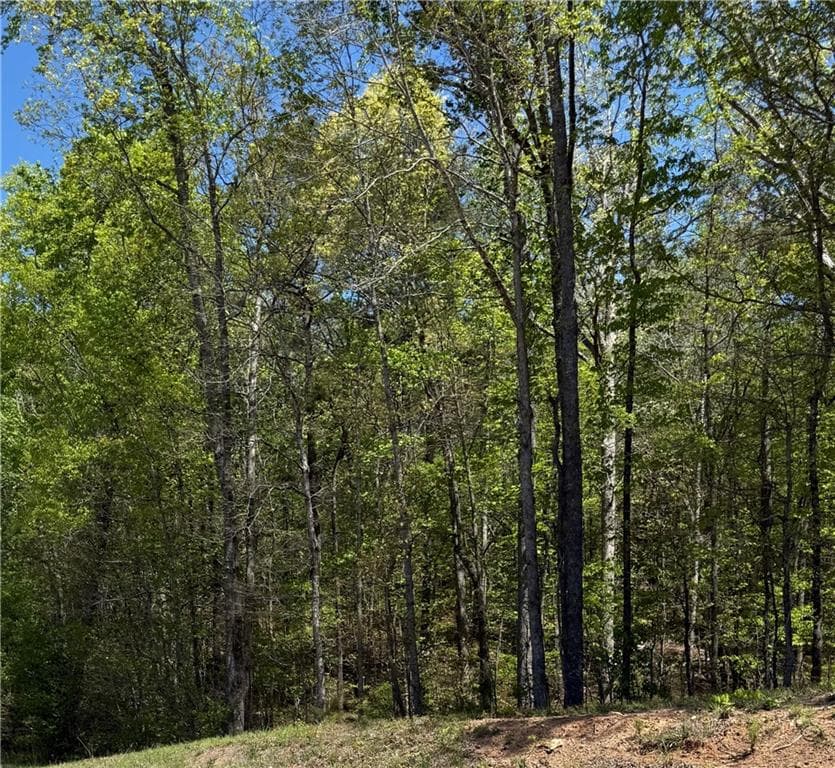 unimproved land for sale at 0 US HWY 27, Bremen, GA 30113 — photo 3