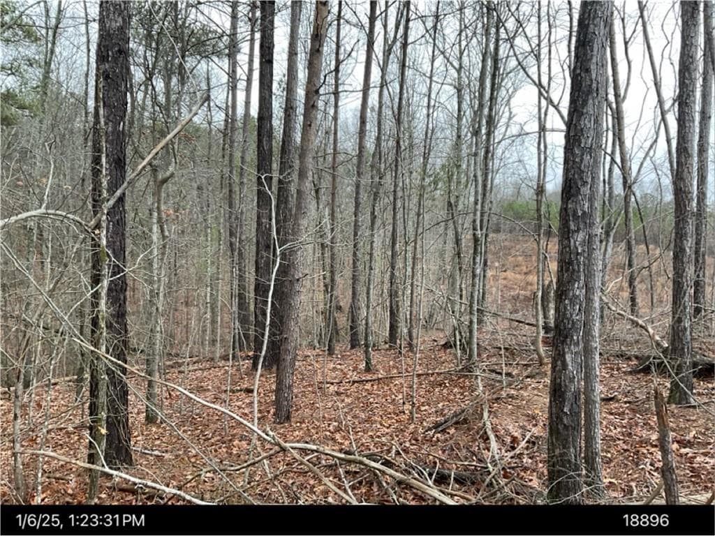 unimproved land for sale at 0 US HWY 27, Bremen, GA 30113 — photo 4