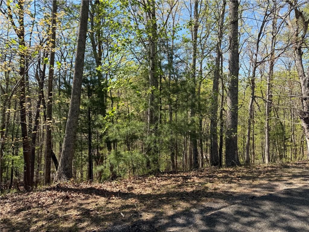 single family residence for sale at 812 Horse Cove Court, Jasper, GA 30143 — photo 4