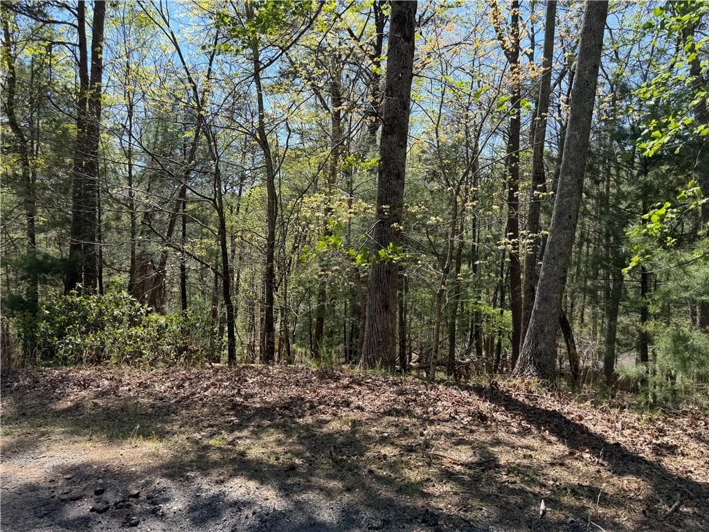 single family residence for sale at 812 Horse Cove Court, Jasper, GA 30143 — photo 5