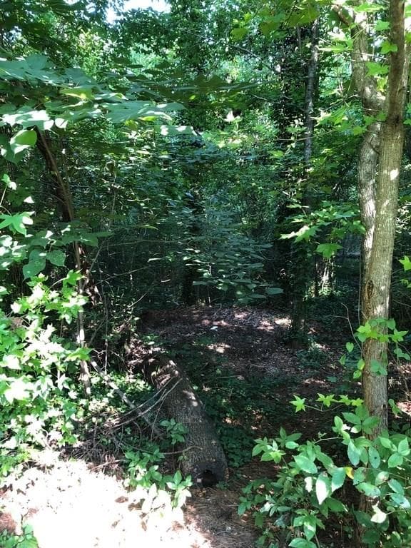 single family residence for sale at 0 OHARA Drive, Woodstock, GA 30188 — photo 2