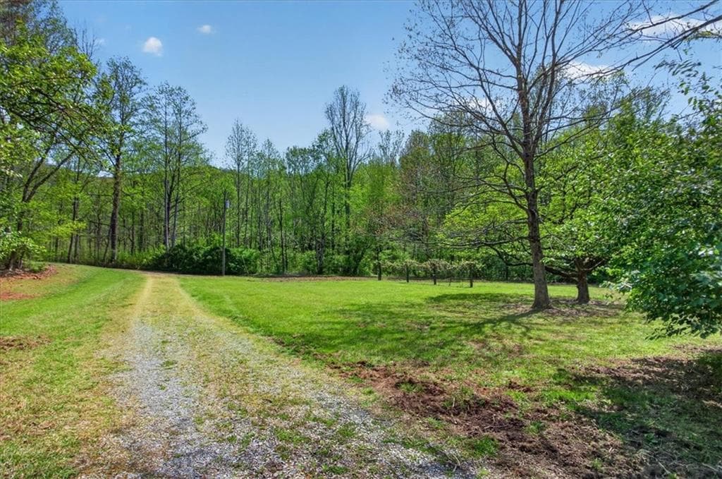 other for sale at 0 Grandview Road, Jasper, GA 30143 — photo 3