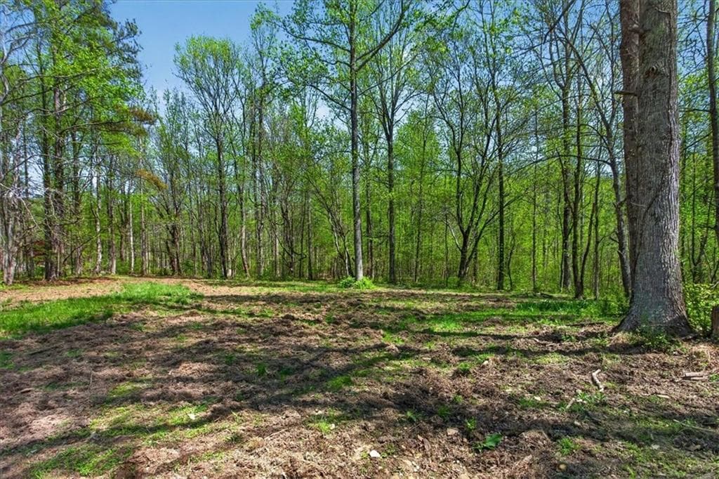 other for sale at 0 Grandview Road, Jasper, GA 30143 — photo 7