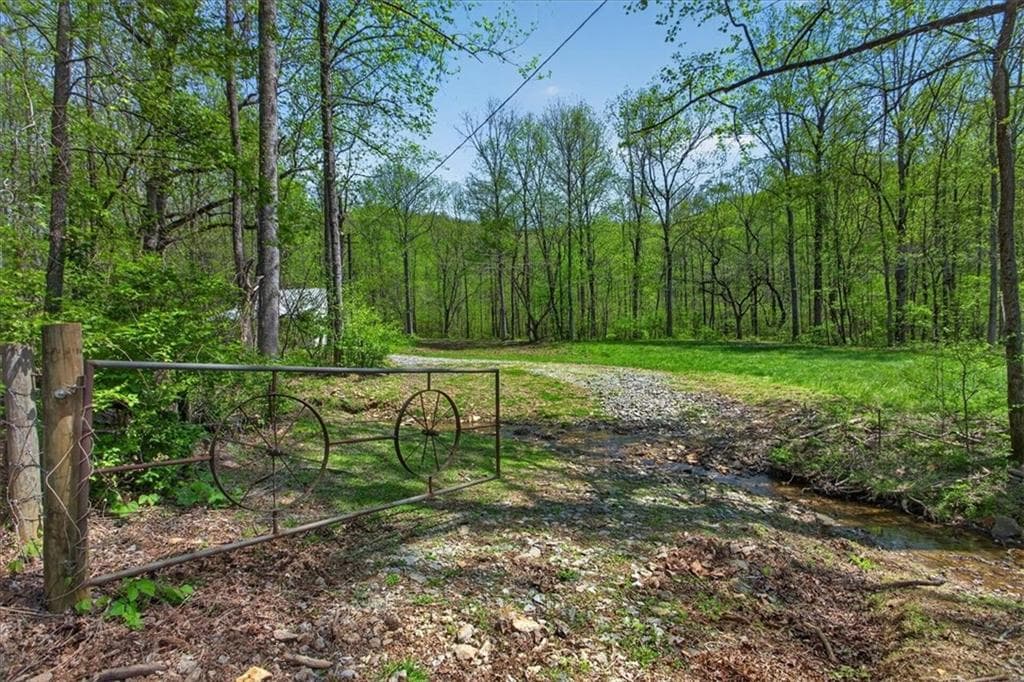 other for sale at 0 Grandview Road, Jasper, GA 30143 — photo 8