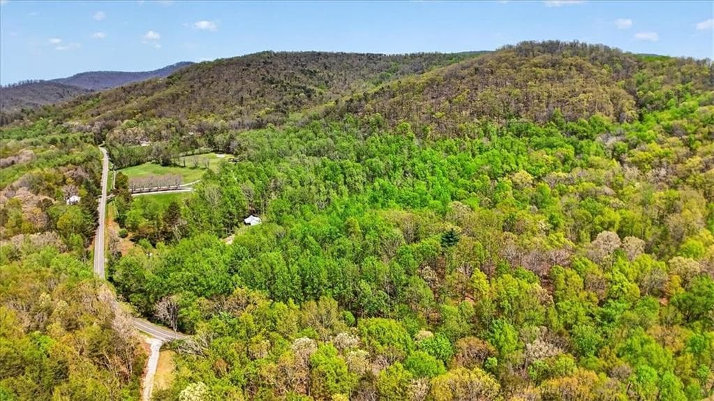 other for sale at 0 Grandview Road, Jasper, GA 30143 — photo 10