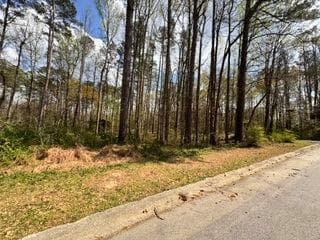 unimproved land for sale at 4120 Falcon, Austell, GA 30106 — photo 4