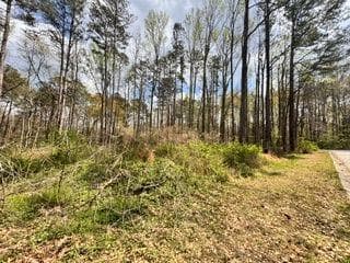 unimproved land for sale at 4120 Falcon, Austell, GA 30106 — photo 5