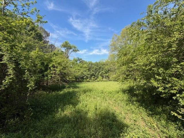 811 Ammons Road