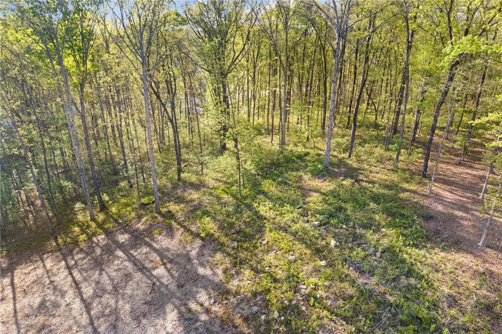 single family residence for sale at 295 Helens Manor Drive, Lawrenceville, GA 30045 — photo 6