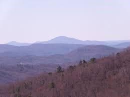 other for sale at 198 Soaring Hawk Trail, Cleveland, GA 30528 — photo 3